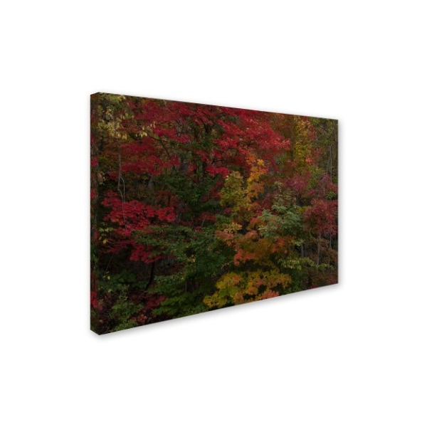 Kurt Shaffer 'Why I Love Autumn' Canvas Art,18x24